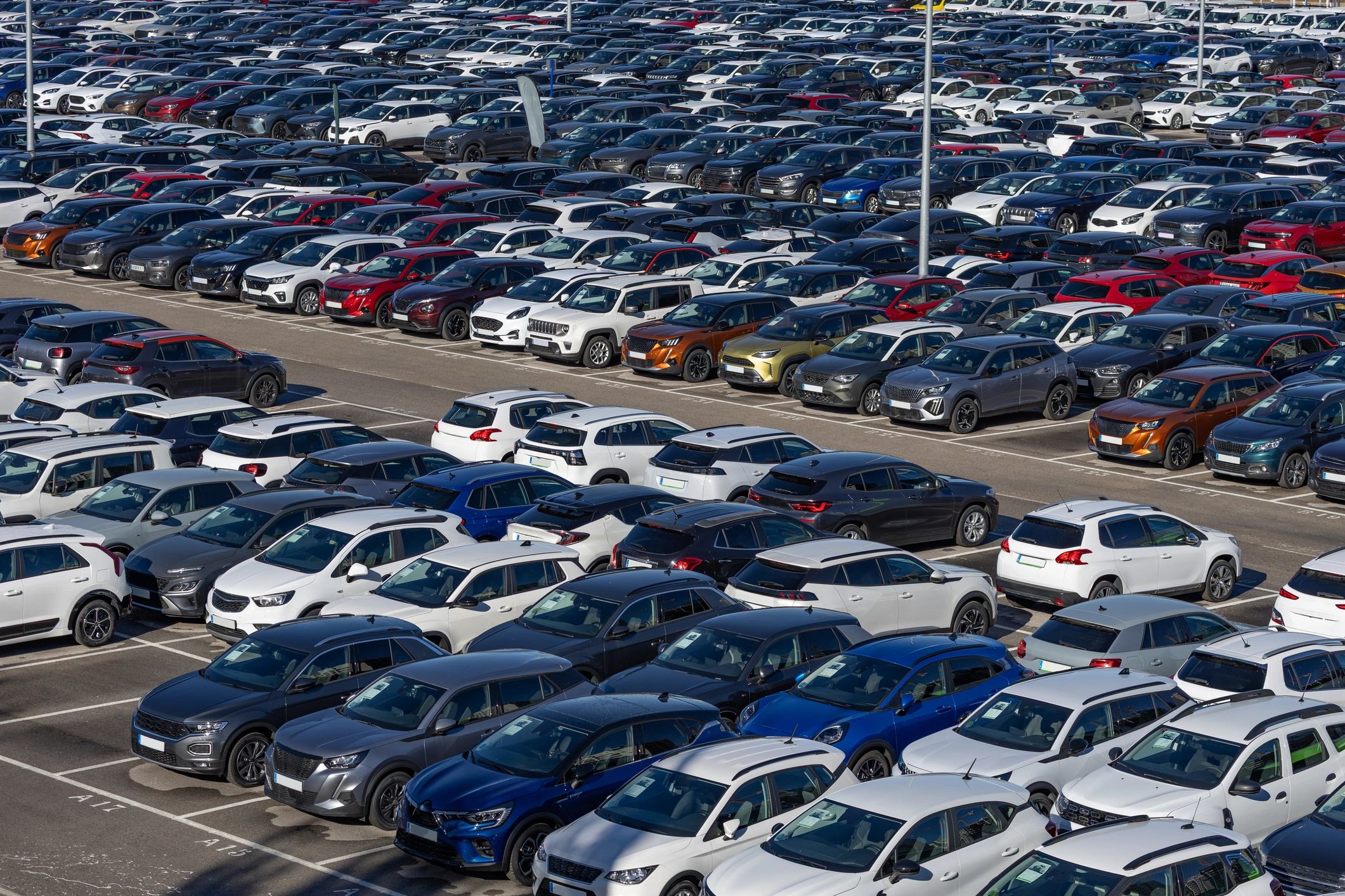 Rows of quality vehicles at a dealership lot